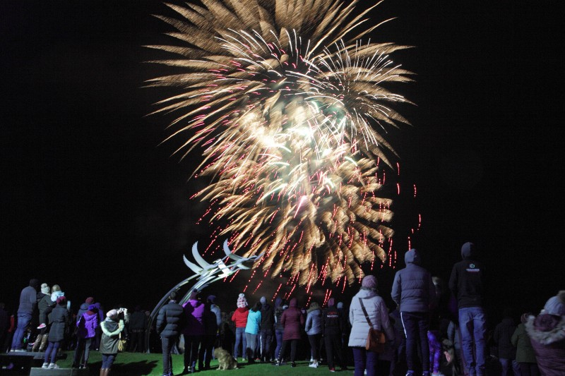 Fireworks Display and Carnival image