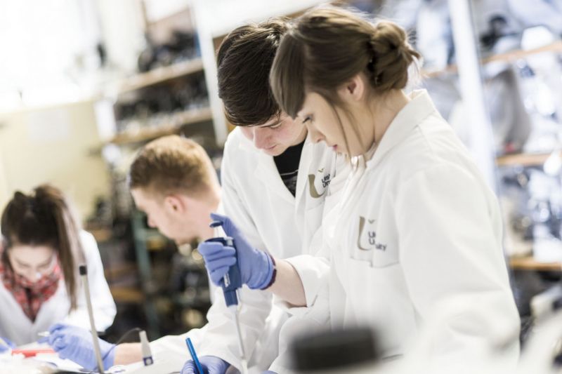 Study Bio and Healthcare Sciences at Ulster University image