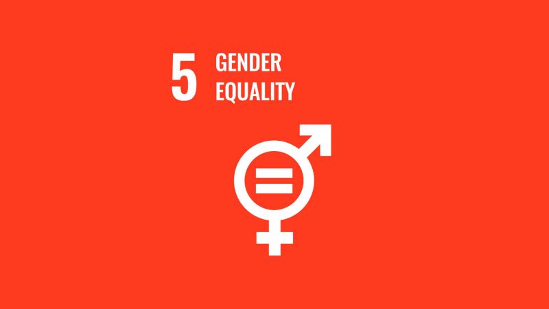 Gender Equality – Achieve gender equality and empower women and girls image