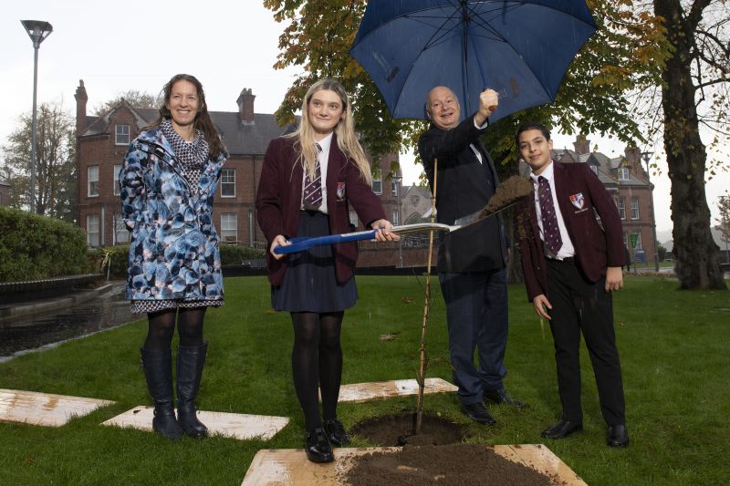 Living legacy of historic Foyle College Tree protected through tree cloning  image