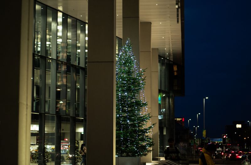 Belfast Campus Lights Up for Christmas image