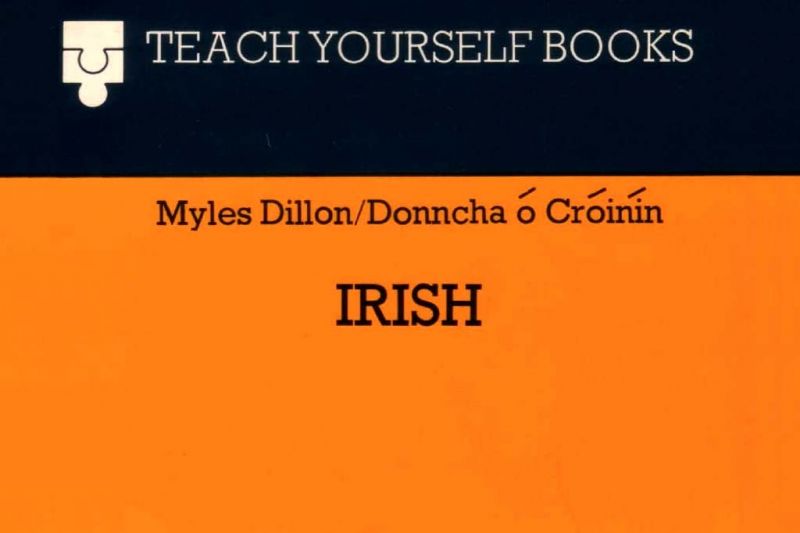 Teach Yourself Irish image