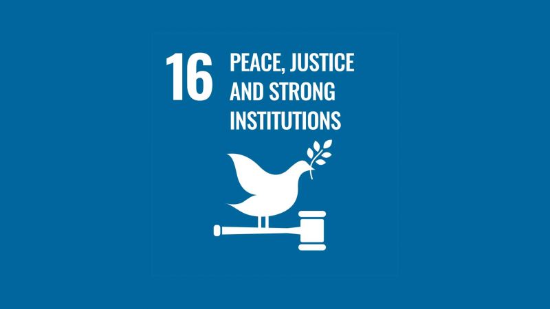 Peace, Justice and Strong Institutions – Promote peaceful & inclusive justice for all image