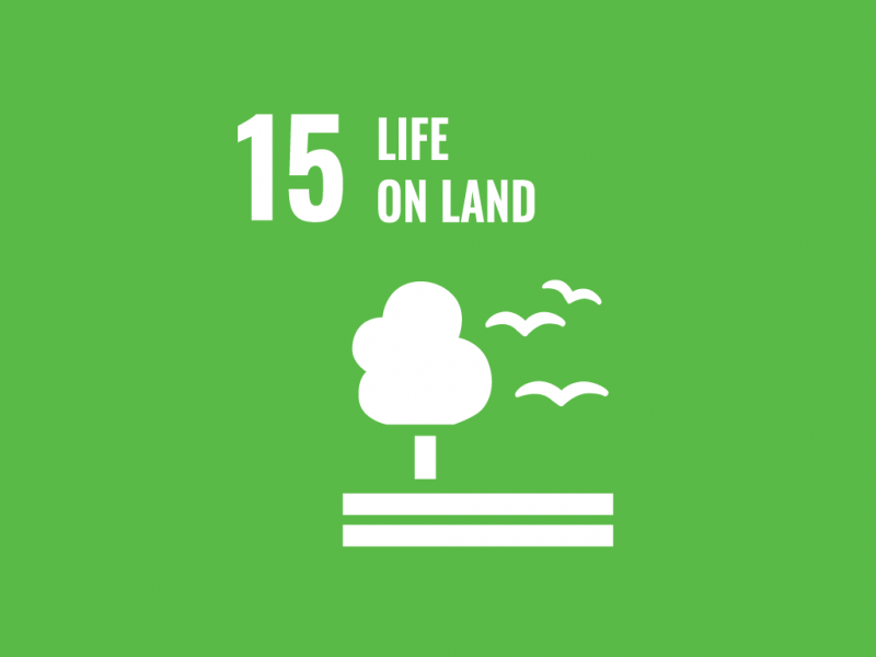 Life on Land – Protect & restore ecosystems & halt biodiversity loss image