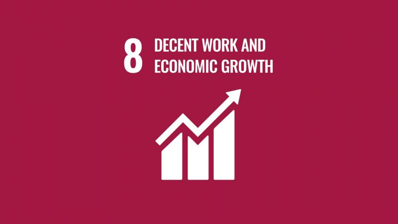 Decent Work and Economic Growth – Promote inclusive & sustainable economic growth image