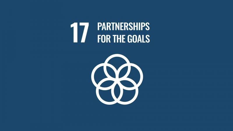 Partnerships for the Goals – Strengthen global partnerships for sustainable development image