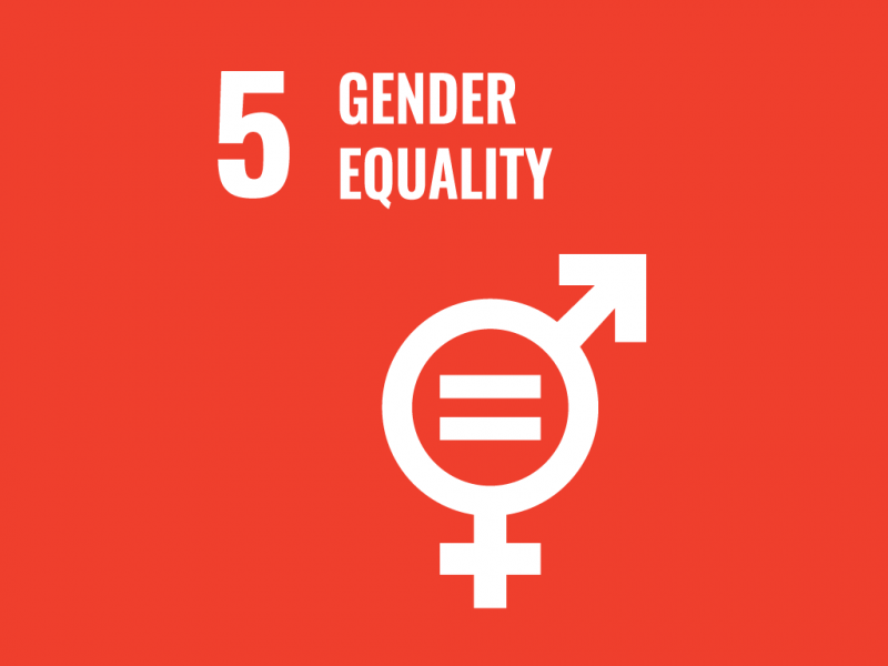 Gender Equality – Achieve gender equality and empower women and girls image