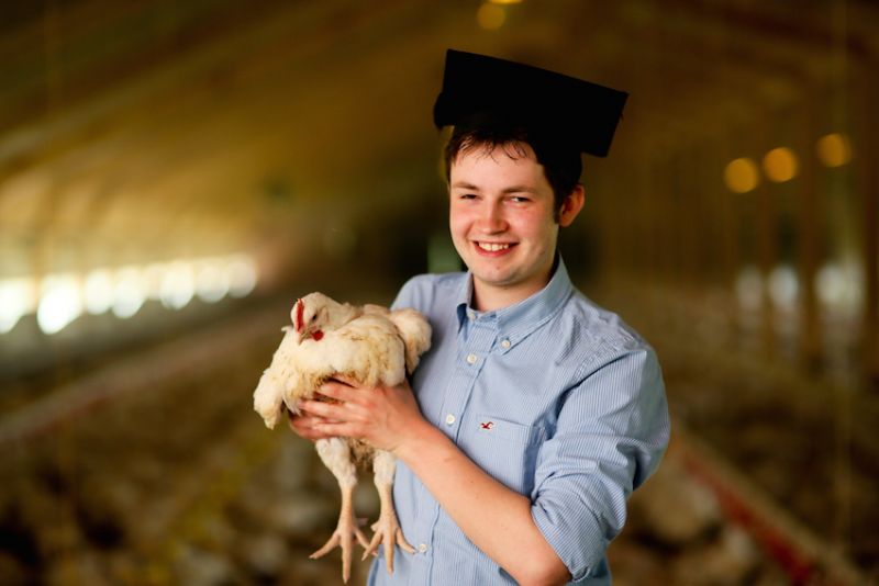 Ulster University graduate develops pioneering animal feed system  image