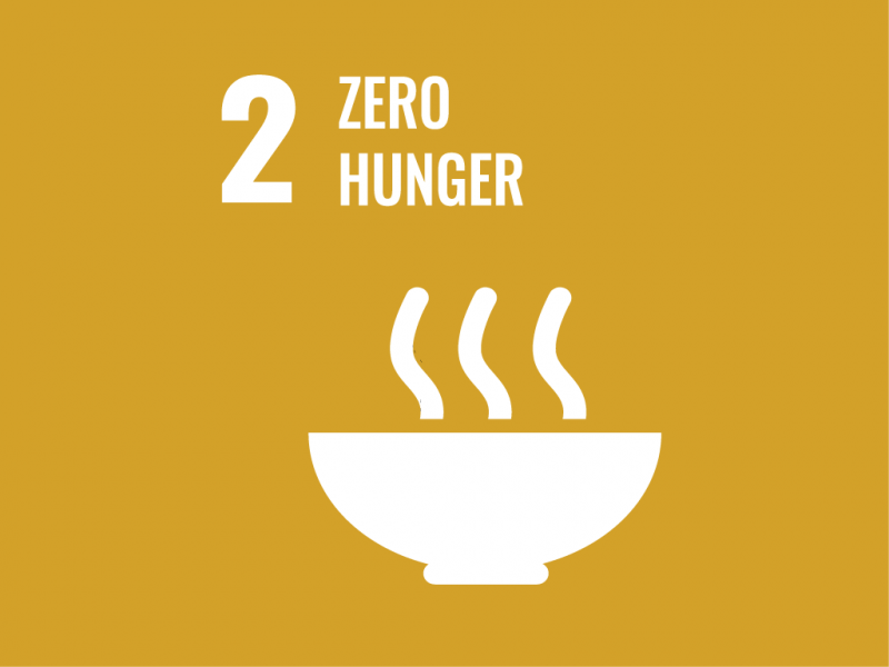 News: Zero Hunger – End hunger, achieve food security and improved nutrition. image