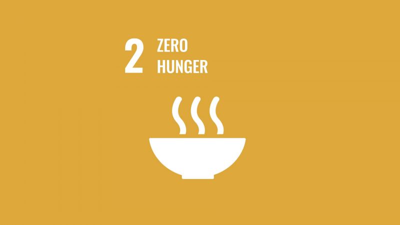 Zero Hunger – End hunger, achieve food security and improved nutrition. image