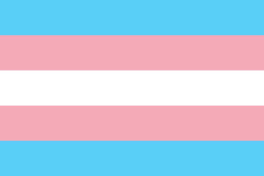 International Transgender Day of Visibility – Wednesday 31 March