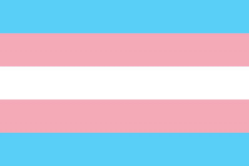 International Transgender Day of Visibility – Wednesday 31 March image