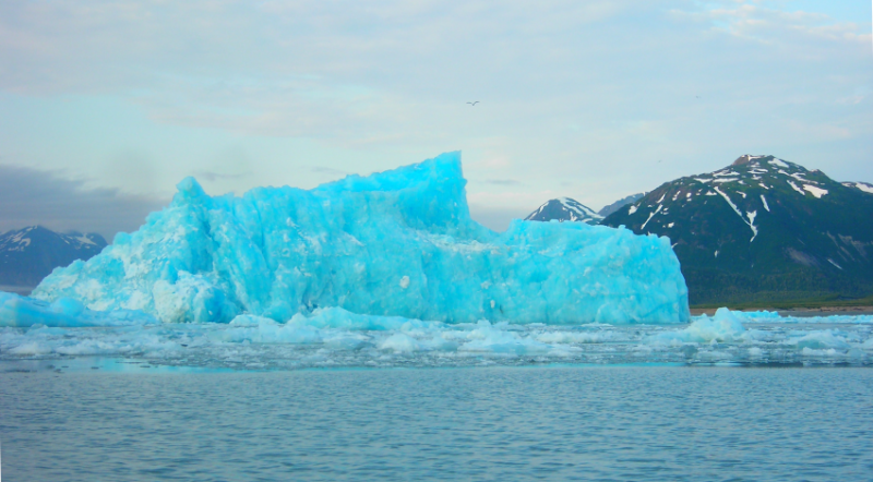 International study reveals global glacier retreat has accelerated image