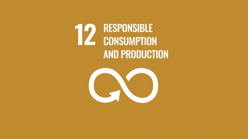 12. Responsible Consumption and Production image