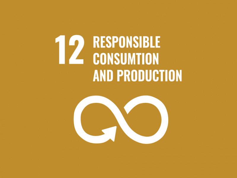 Responsible Consumption and Production  image