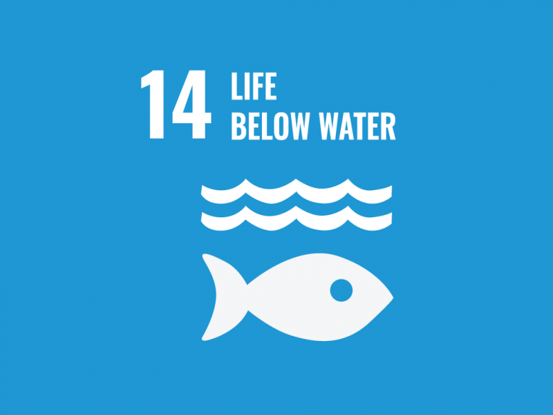 News: Life below Water – Conserve & sustainably use oceans, seas & marine resources image