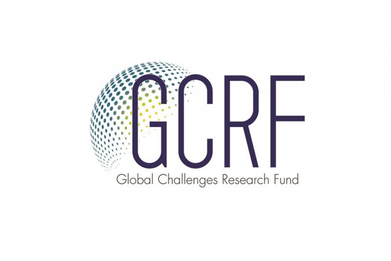 Dr Shanks appointed GCRF Challenge Leader image
