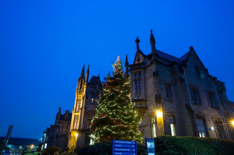 Derry~Londonderry Campus Lights Up for Christmas image